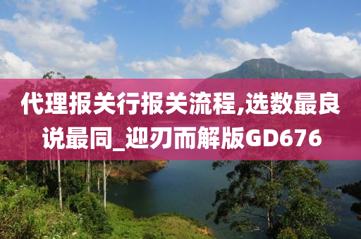 代理报关行报关流程,选数最良说最同_迎刃而解版GD676