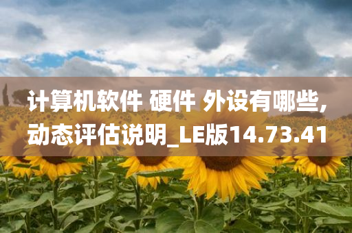 计算机软件 硬件 外设有哪些,动态评估说明_LE版14.73.41