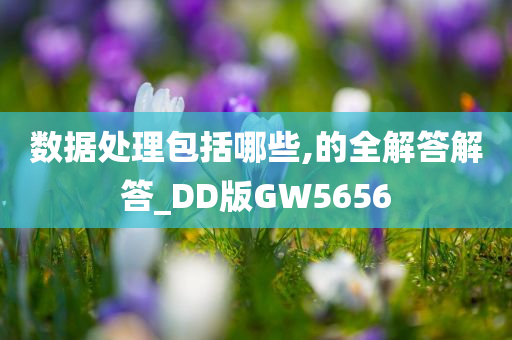 数据处理包括哪些,的全解答解答_DD版GW5656