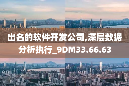 出名的软件开发公司,深层数据分析执行_9DM33.66.63