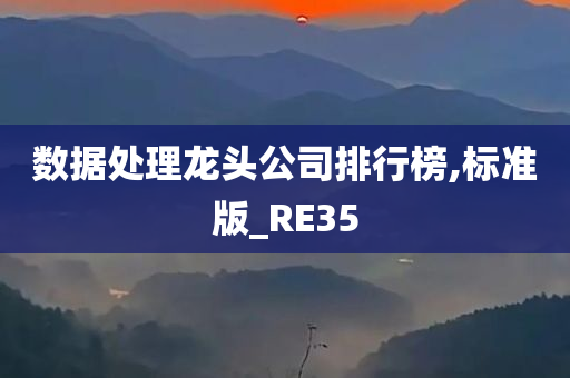 数据处理龙头公司排行榜,标准版_RE35