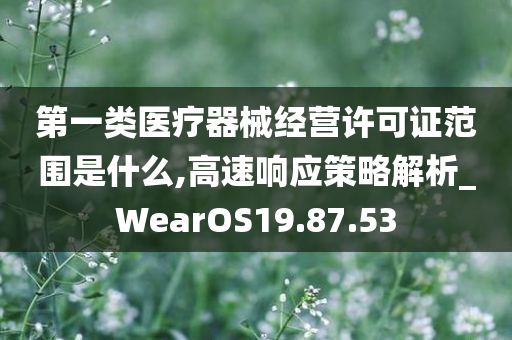 第一类医疗器械经营许可证范围是什么,高速响应策略解析_WearOS19.87.53