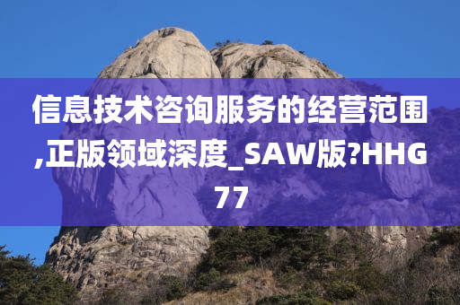 信息技术咨询服务的经营范围,正版领域深度_SAW版?HHG77