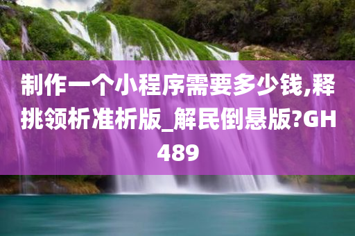 制作一个小程序需要多少钱,释挑领析准析版_解民倒悬版?GH489