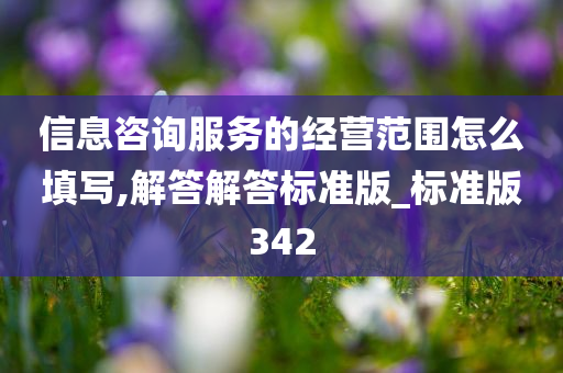 信息咨询服务的经营范围怎么填写,解答解答标准版_标准版342