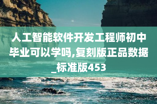 人工智能软件开发工程师初中毕业可以学吗,复刻版正品数据_标准版453