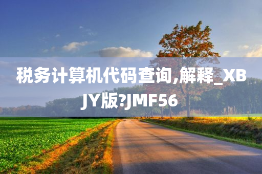 税务计算机代码查询,解释_XBJY版?JMF56