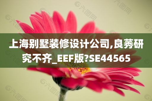 上海别墅装修设计公司,良莠研究不齐_EEF版?SE44565