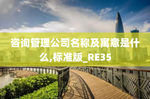 咨询管理公司名称及寓意是什么,标准版_RE35