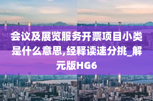 会议及展览服务开票项目小类是什么意思,经释读速分挑_解元版HG6