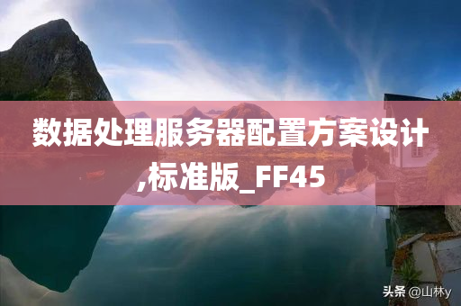 数据处理服务器配置方案设计,标准版_FF45