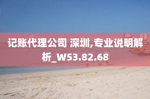 记账代理公司 深圳,专业说明解析_W53.82.68