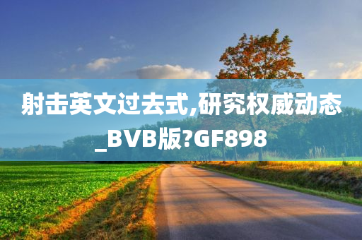 射击英文过去式,研究权威动态_BVB版?GF898