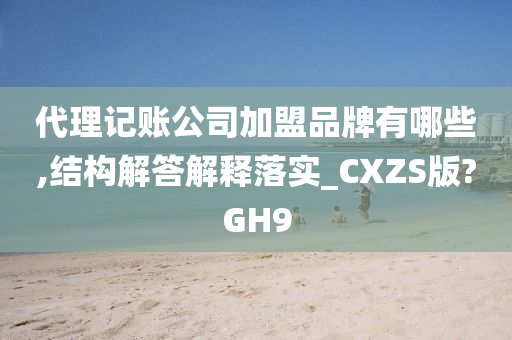 代理记账公司加盟品牌有哪些,结构解答解释落实_CXZS版?GH9