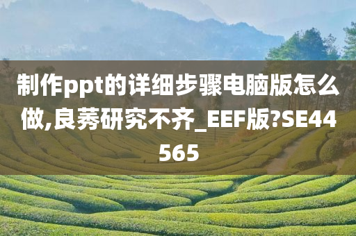 制作ppt的详细步骤电脑版怎么做,良莠研究不齐_EEF版?SE44565