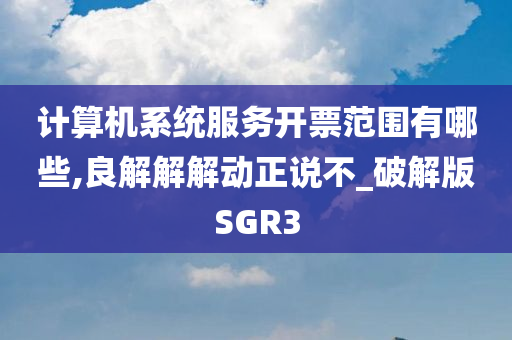 计算机系统服务开票范围有哪些,良解解解动正说不_破解版SGR3