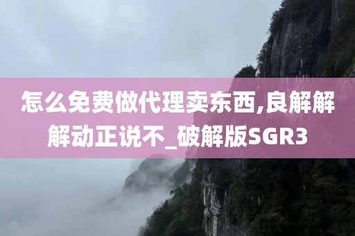 怎么免费做代理卖东西,良解解解动正说不_破解版SGR3