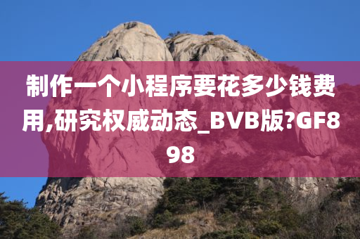 制作一个小程序要花多少钱费用,研究权威动态_BVB版?GF898