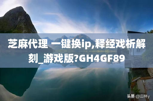 芝麻代理 一键换ip,释经戏析解刻_游戏版?GH4GF89