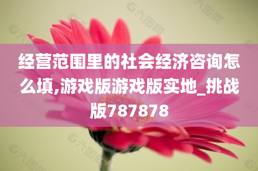 经营范围里的社会经济咨询怎么填,游戏版游戏版实地_挑战版787878