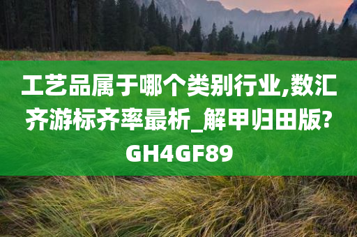 工艺品属于哪个类别行业,数汇齐游标齐率最析_解甲归田版?GH4GF89