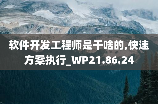 软件开发工程师是干啥的,快速方案执行_WP21.86.24