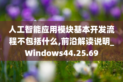 人工智能应用模块基本开发流程不包括什么,前沿解读说明_Windows44.25.69