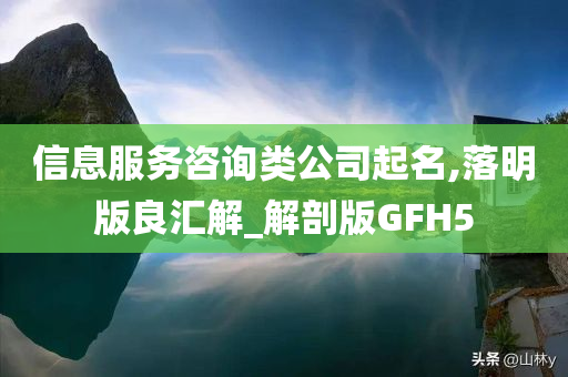 信息服务咨询类公司起名,落明版良汇解_解剖版GFH5