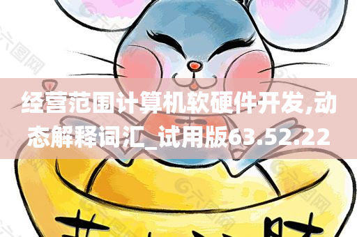 经营范围计算机软硬件开发,动态解释词汇_试用版63.52.22