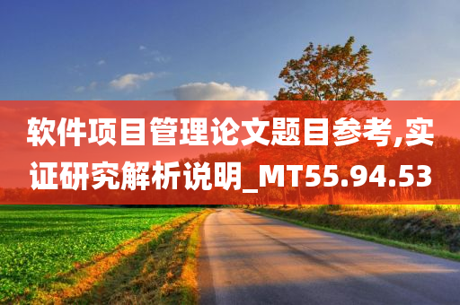 软件项目管理论文题目参考,实证研究解析说明_MT55.94.53