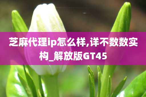 芝麻代理ip怎么样,详不数数实构_解放版GT45