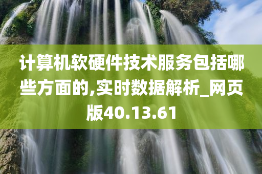 计算机软硬件技术服务包括哪些方面的,实时数据解析_网页版40.13.61