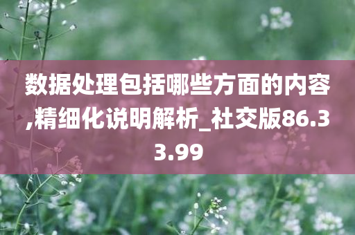 数据处理包括哪些方面的内容,精细化说明解析_社交版86.33.99