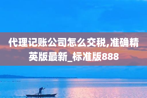 代理记账公司怎么交税,准确精英版最新_标准版888