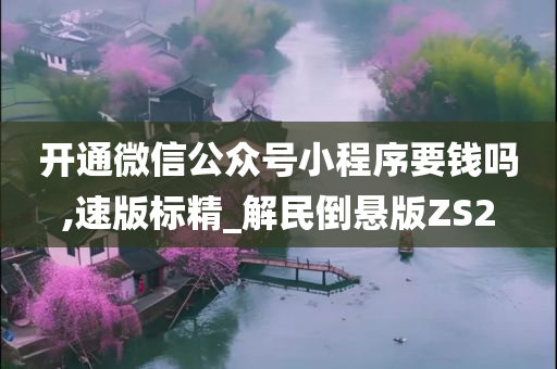 开通微信公众号小程序要钱吗,速版标精_解民倒悬版ZS2