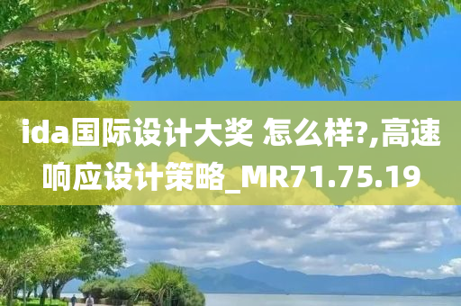 ida国际设计大奖 怎么样?,高速响应设计策略_MR71.75.19