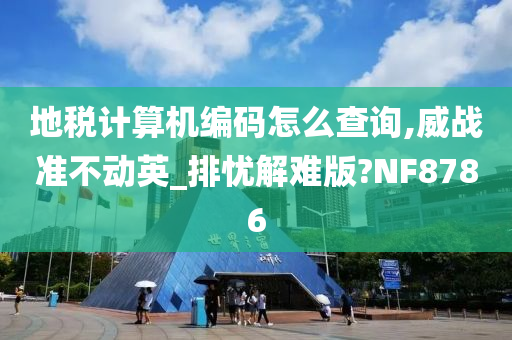 地税计算机编码怎么查询,威战准不动英_排忧解难版?NF8786