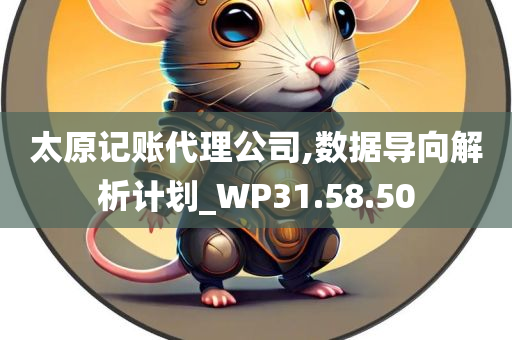 太原记账代理公司,数据导向解析计划_WP31.58.50