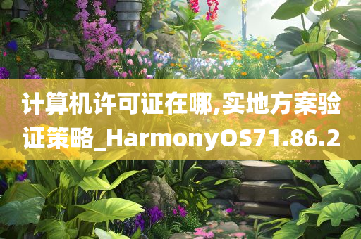 计算机许可证在哪,实地方案验证策略_HarmonyOS71.86.20