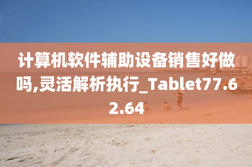 计算机软件辅助设备销售好做吗,灵活解析执行_Tablet77.62.64