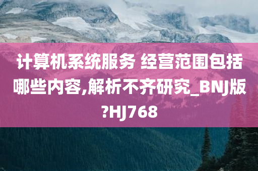 计算机系统服务 经营范围包括哪些内容,解析不齐研究_BNJ版?HJ768