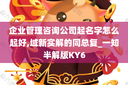 企业管理咨询公司起名字怎么起好,域新实解的同总复_一知半解版KY6