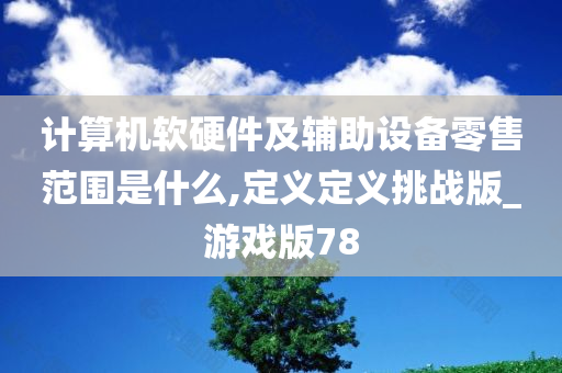 计算机软硬件及辅助设备零售范围是什么,定义定义挑战版_游戏版78