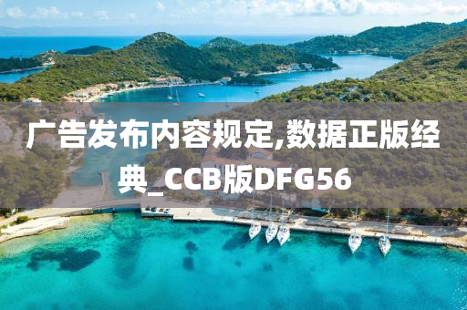 广告发布内容规定,数据正版经典_CCB版DFG56