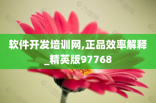 软件开发培训网,正品效率解释_精英版97768