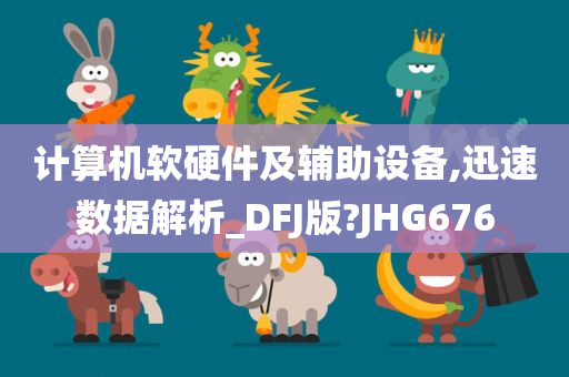 计算机软硬件及辅助设备,迅速数据解析_DFJ版?JHG676