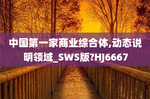 中国第一家商业综合体,动态说明领域_SWS版?HJ6667