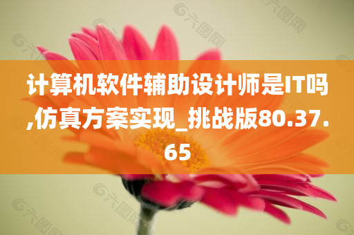 计算机软件辅助设计师是IT吗,仿真方案实现_挑战版80.37.65