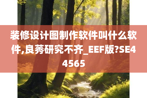 装修设计图制作软件叫什么软件,良莠研究不齐_EEF版?SE44565