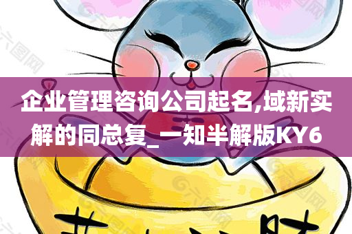 企业管理咨询公司起名,域新实解的同总复_一知半解版KY6